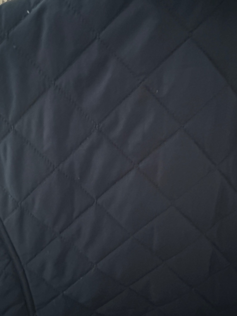 crown & ivy Quilted Navy Vest with Brown Trim and Gold Hardware - Picture 5 of 5